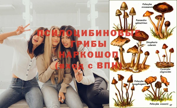 таблы Волосово
