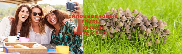 таблы Волосово