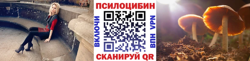 Псилоцибиновые грибы Psilocybe Купить закладки Карачаевск